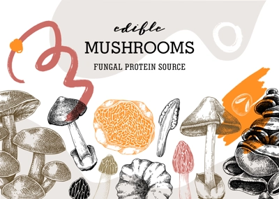 Mushrooms banner in collage style. Artistic autumn forest plant border. Fall background with edible fungi sketches and abstract shapes. Hand drawn healthy food, fungal protein vector illustration